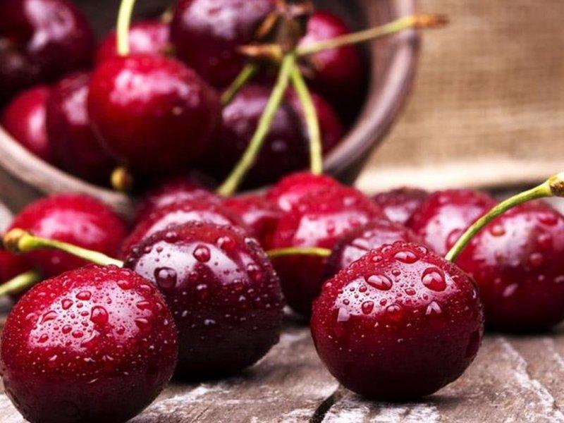 Вишня купить саженцы из питомника в Челябинске